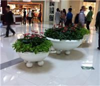 中山全方位綠化與植物租賃服務指南 從風水綠植到園林工程，打造高性價比綠色空間