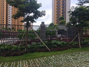 深圳羊臺(tái)苑小區(qū)綠化工程 構(gòu)建都市生態(tài)人居典范