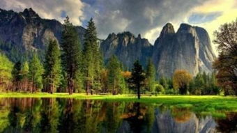 繁星流動(dòng)——捕捉每個(gè)閃耀瞬間的專業(yè)攝像服務(wù)